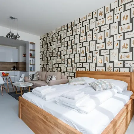 Designer Studio In New Town By Days * Praag